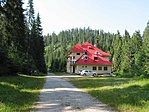 A Csodav�r mened�kh�z