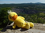 Ducky Duck, avagy a mi utazó Kacsánk :)