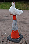 VLC media player