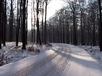 A kocsiút út télen is jó minőségű