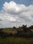 a névadó