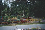Évről évre szebb a park