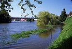 2002-árvíz Baján