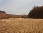 Dobi-rét