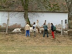 Amikor a gyermekváros lakói még kecskéket tenyésztettek