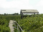 A faház és a hozzá vezető út 2003-ban