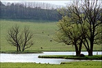A Zselic-farmon...(vonós3as-fotó)