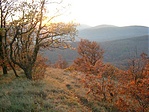 3. Az ösvény