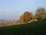 Szőlőhegyi panoráma