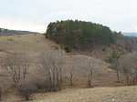 A facsoport közelebbről