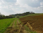 A confluence felé