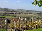 Szőlőhegyi panoráma