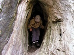 Remete-barlang bejárata