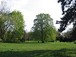 Parkrészlet