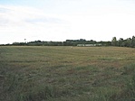 Az Őzijáték