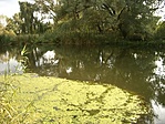 Holtágban