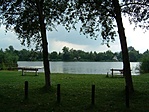 A Kagylós