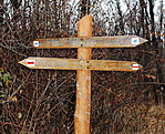 Jó helyen jársz