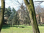 Széchenyi-kastély