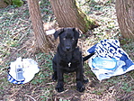 89. állomás: Gcsapi mellett 89. állomás: Gcsapi mellett