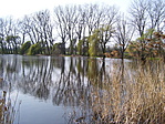 Tavasszal