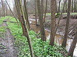 A Boronka-patak