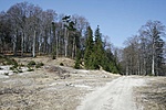 231/Kék elágazás