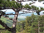 Kilátás2