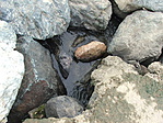 Kövek