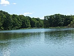 Halastó