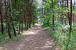 "A főút"