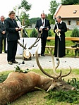 Avatás