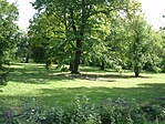 Kastélypark