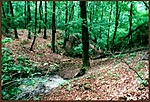 50. állomás: Leányvár