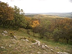 105. Zuppa