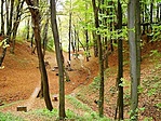 Felülről