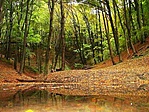 Tavacska
