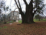 Az ép oldal 2007-ben