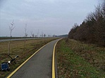 365. Örökbefogadott fák
