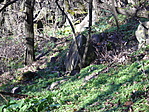Rejtek (2007)