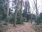 Park részlet 1.