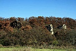Kaptárkövek