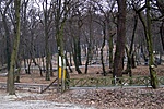 Nyári bobpálya télen