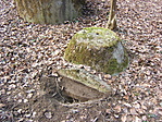 Kezdődő feltárás