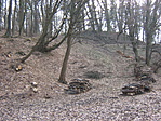 Szentmihály-hegy