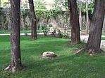 Parkrészlet 1