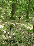 Útjelzők