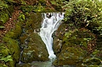 zubogó