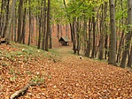 2. pont felé