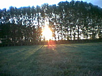 Napfelkelte
